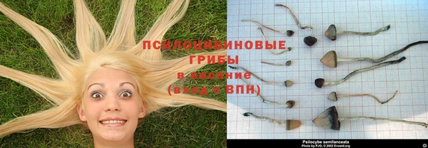 скорость mdpv Арсеньев