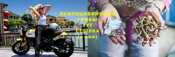 первитин Армянск